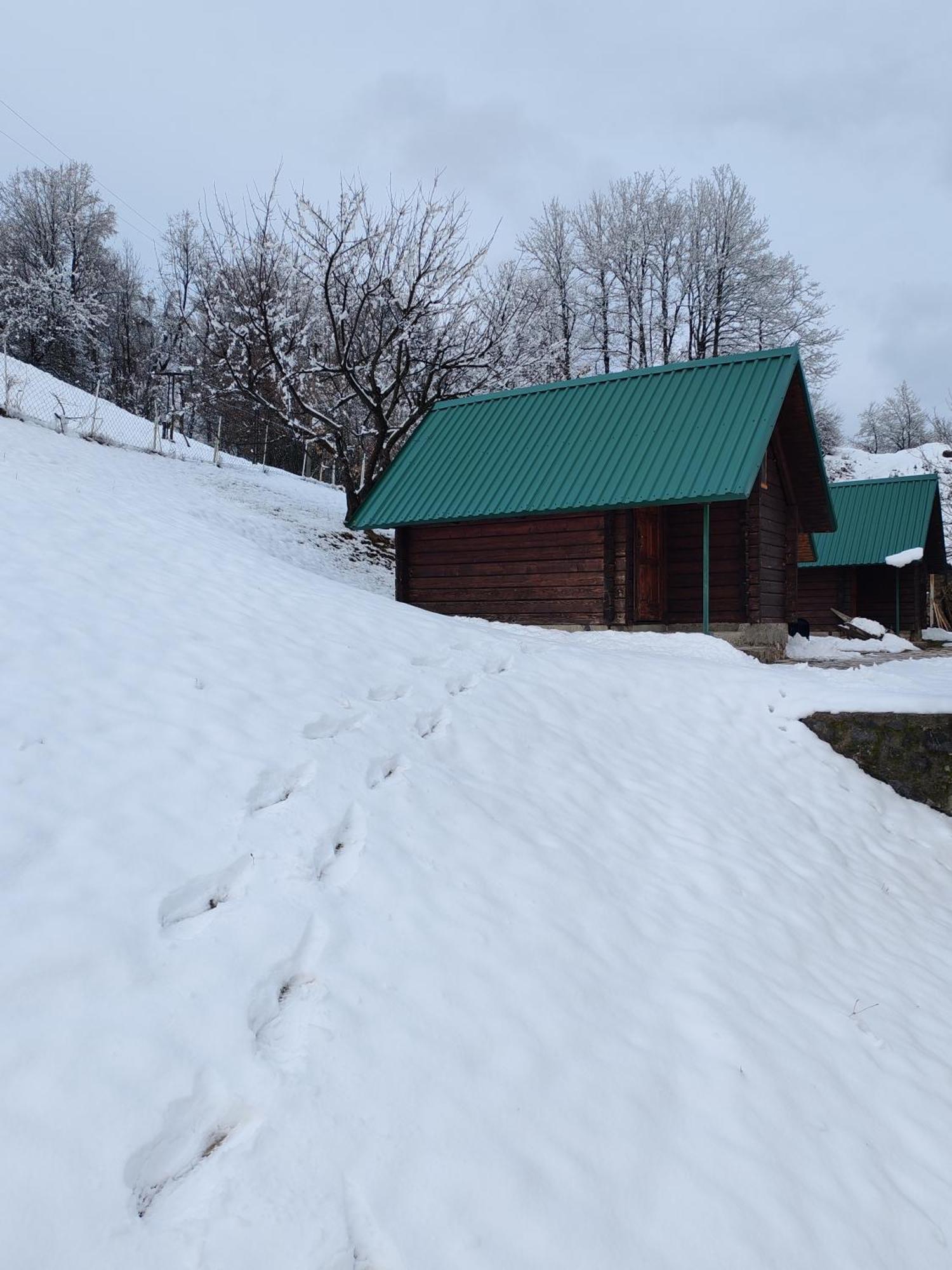 Bungalovi Vukovic Mojkovac Exterior foto